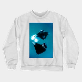 Manta rays feeding (C007/2162) Crewneck Sweatshirt